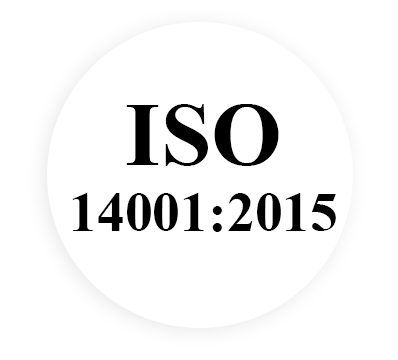 14001 logo